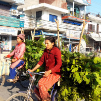 तामाङ प्रशारण दिवसमा दुई पत्रकार सम्मानित