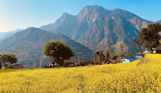 गोलीकाण्डमा संलग्न रहेको आरोपमा तीनजना पक्राउ