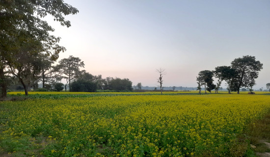 समावेशीकरणको दिशामा नयाँ फड्को : गोरखापत्रद्वारा प्रकाशित संस्कृत भाषा