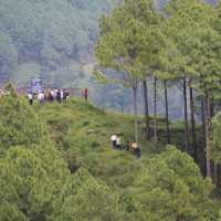 पोषण शिक्षासम्बन्धी सचेतना अभियान सुरु गर्न जरुरी : मन्त्री भुसाल