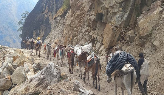 रविसहित ५१ जनालाई प्रतिवादी बनाउन सिफारिस