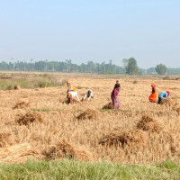 डायलासिस सेवा अझै भएन सञ्चालन