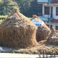 अन्य पार्टीसँग तत्काल एकताको सम्भावना छैन : एकीकृत समाजवादी