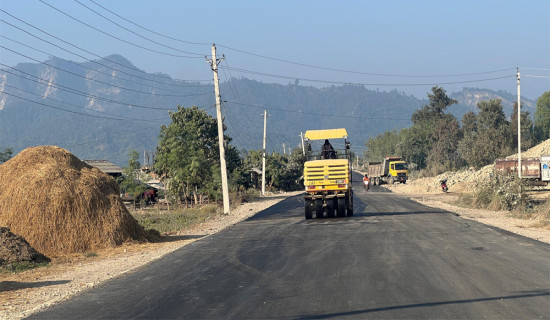 बजारमा माग बढ्दै, वनमा खेर जाँदै टिमुर