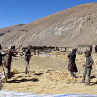 स्रोत नखुलेको ६८ लाख नगदसहित चार जना पक्राउ