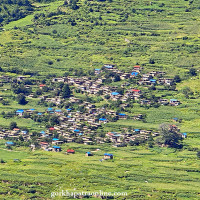 कांग्रेसको तीन र एमालेको दुई विषयगत समितिमा उम्मेदवारी