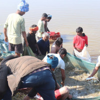 शिक्षा विकास निर्देशनालयको भवन शिलान्यास