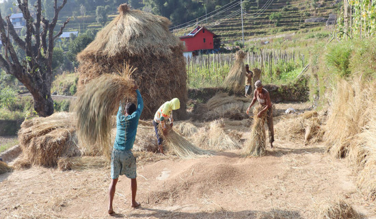 समानुपातिक समावेशीकरणका लागि स्पष्ट कानुन आवश्यकः न्यायाधीश मल्ल