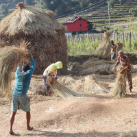 कोशी प्रदेश सभा बैठकमा सङ्कल्प प्रस्ताव पेस