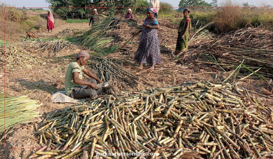 लैङ्गिक हिंसाविरुद्धको अभियान सम्पन्न