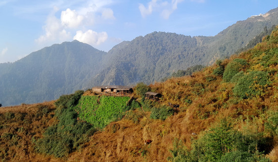 खर्कमा घुम्तीगोठ