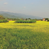 सनातन धर्म, हिन्दु र हिन्दुत्व