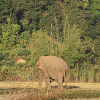 ध्यान मावन जातिको कल्याणका निम्तिः प्रधानमन्त्री ओली