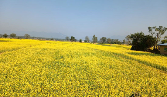 समावेशीकरणको दिशामा नयाँ फड्को : गोरखापत्रद्वारा प्रकाशित जिरेल भाषा