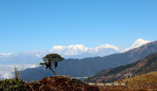 आँखाको पर्दामार्फत हाजिरी गर्ने बढे