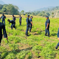 विद्यालय नमुना,  कक्षाकोठामा कोचाकोच