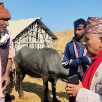 भ्रष्टाचार नियन्त्रण नगरेसम्म समृद्धि प्राप्त गर्न सकिँदैन : उपप्रधानमन्त्री श्रेष्ठ