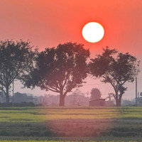 महोत्तरीमा त्रिपक्षीय प्रतिस्पर्धा