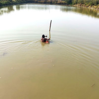 लैङ्गिक हिंसामा परेका अधिकांशमा मानसिक समस्या