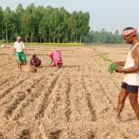 लैङ्गिक हिंसामा परेका अधिकांशमा मानसिक समस्या