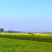 भ्रष्टाचार अभियोगमा आठ जनाविरुद्ध मुद्दा दायर