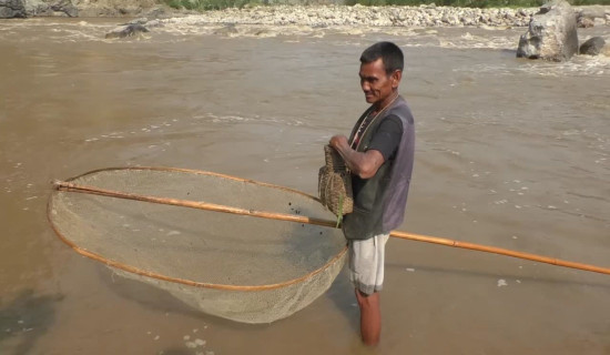 माझी समुदायको पुर्ख्यौली पेसा सङ्कटमा