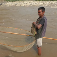 नेपाल टेलिकमको सुन्धारा शाखामा ‘मैना’ रोबर्टबाट सेवा सुरु