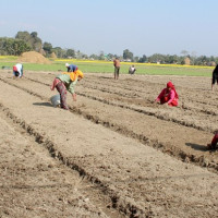 विमान दुर्घटना स्थलमा हेलिकोप्टर अवतरण, शव सङ्कलन सुरु