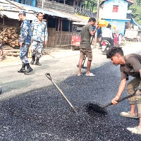 प्रधानमन्त्री ओली र खर्बपति मस्कबिच भर्चुअल संवाद