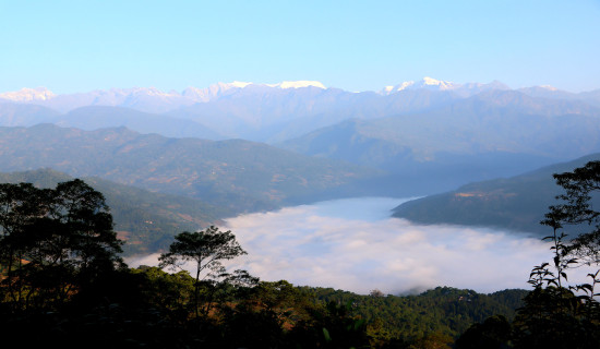 बलात्कार कसुरमा १९ वर्ष कैद