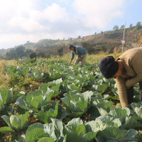 बलात्कार कसुरमा १९ वर्ष कैद