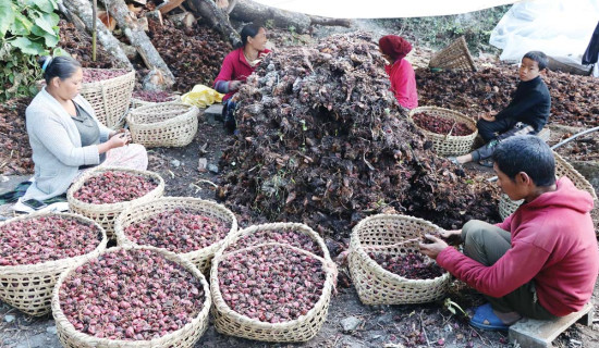 भारतमा बन्धक बनाइएका २८ मजदुरको उद्दार