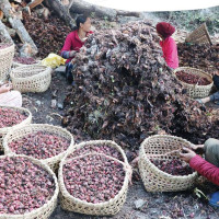 सडक कालोपत्र प्रक्रिया अघि बढाउन नेता डा.महतको माग