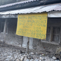 भारतको वन क्षेत्रमा वृद्धि