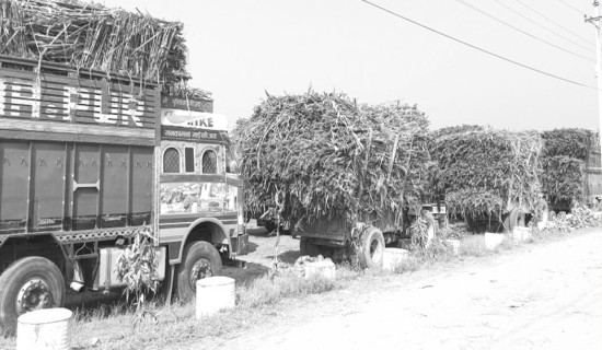 मिटरब्याज पीडित र सरकारबीचको वार्ता सकारात्मक