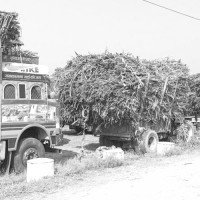 निर्वाचन सफल पार्न सबै जुट्नुपर्छ : प्रमुख आयुक्त थपलिया