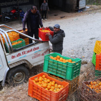 लिच्छविकालीन ढुङ्गेधारा