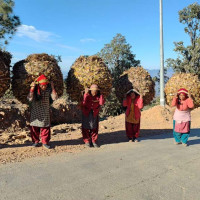 वन संरक्षण सबैको दायित्व हो : मुख्यमन्त्री लामा