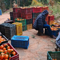 एमाले सुर्खेत अध्यक्षमा देवकोटा निर्वाचित