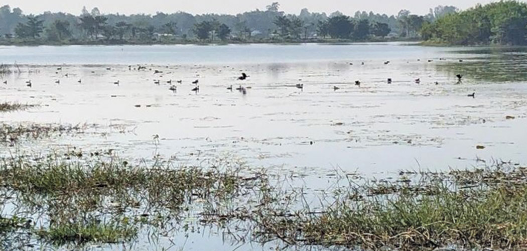 बर्जुतालका लागि लगानी खोज्दै प्रदेश सरकार