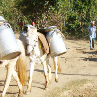 विश्वकप लिग-२ : स्कटल्याण्डसँग प्रतिस्पर्धा गर्दै नेपाल