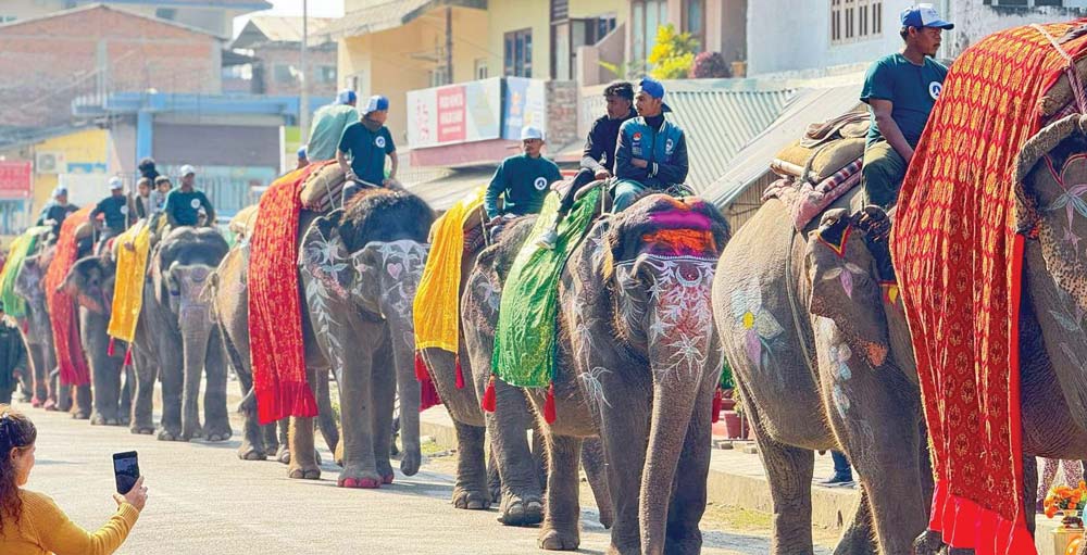 सौराहामा हात्ती महोत्सव