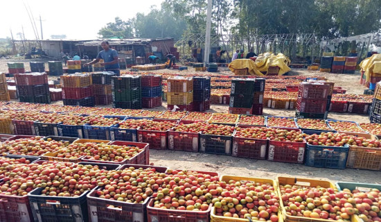 अमेरिकाले बी-५२ बमवर्षक विमान तैनाथ गरेकोमा इरानको आपत्ति