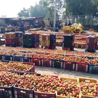 ताप्लेजुङमा मोतिया विन्दुका रोगी धेरै