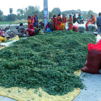 राष्ट्रपतिद्वारा कतारका अमिरको सम्मानमा रात्रिभोज