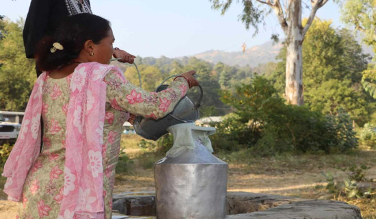 भिरबाट लडेर महिलाको मृत्यु