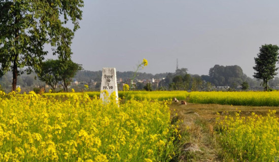 दसगजा वारिपारि पहेँलपुर तोरीबारी