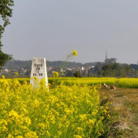 ओखलढुङ्गा काँग्रेसले उम्मेदवारको नाम टुंग्यायो