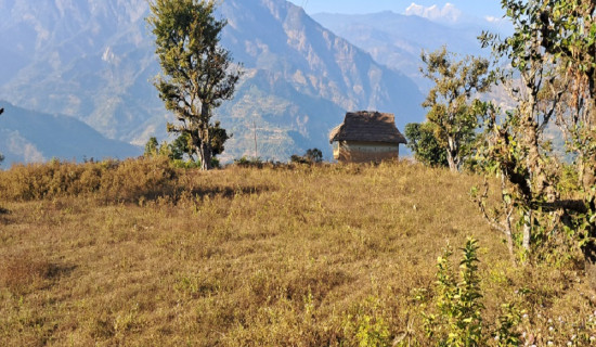 बसाइँसराइले गाउँ खाली हुँदै