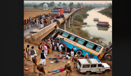 भारतको पञ्जाबमा बस दुर्घटना : आठको मृत्यु, ४६ यात्रुको उद्धार